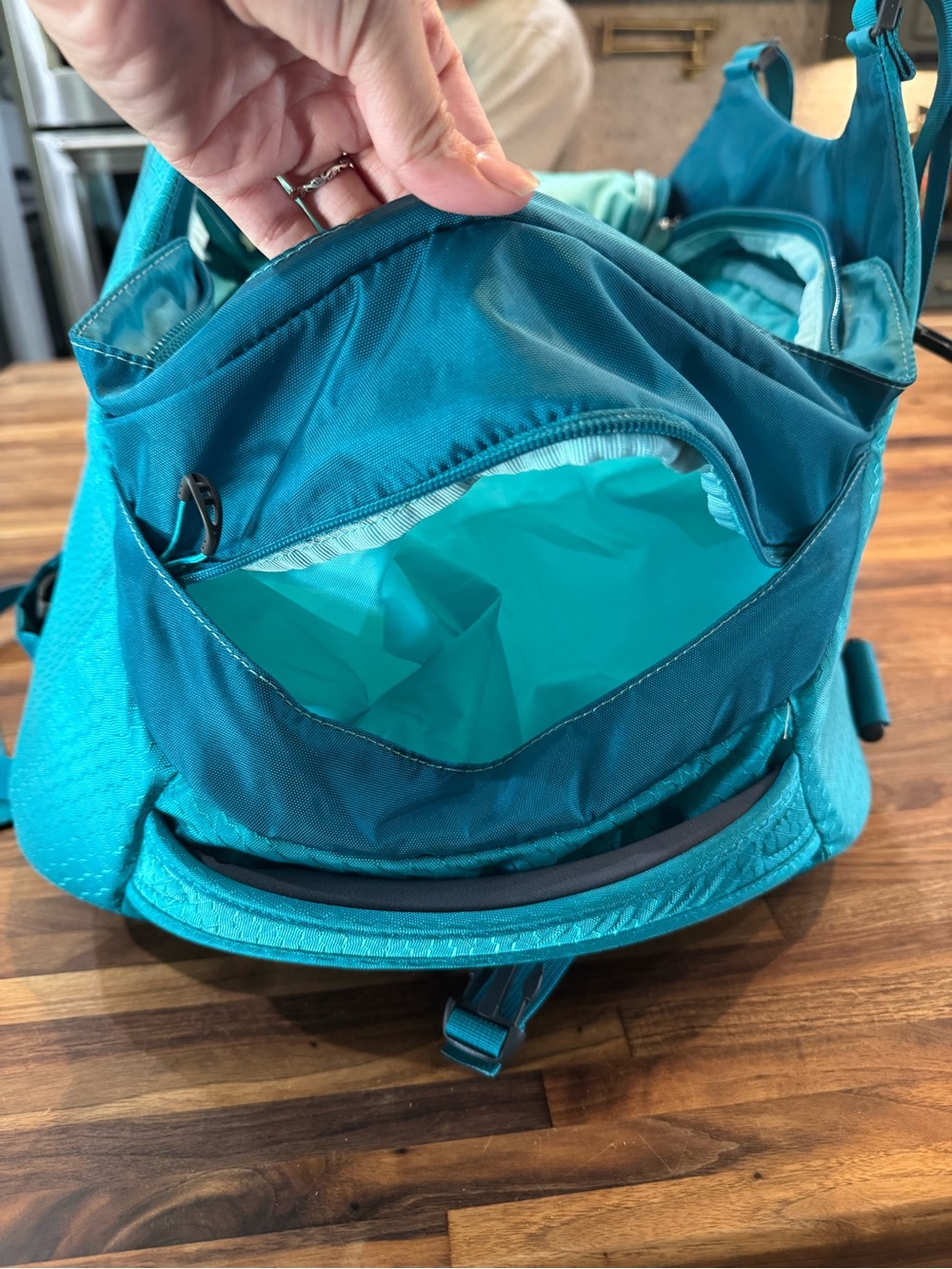 Teal Osprey Porter 46L
